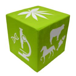 Cube Mendel 35x35 cm, green