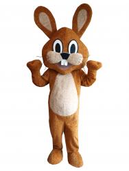 Rabbit - promo costume