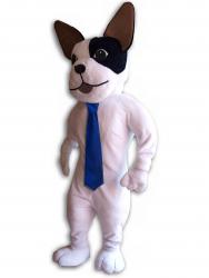 Pes s kravatou - rekl.kostým